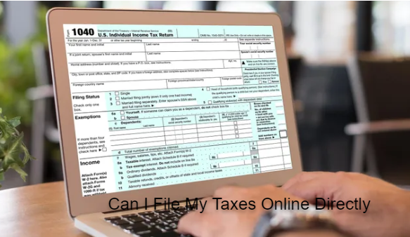 Can I File My Taxes Online Directly